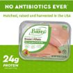 Picture of Chicken Breast Fillets