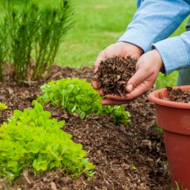 Picture for category Mulch, Soil & Amendments
