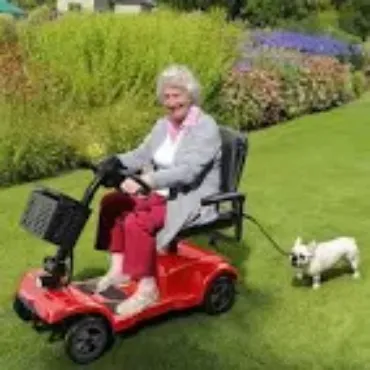 Picture for category Mobility Scooters